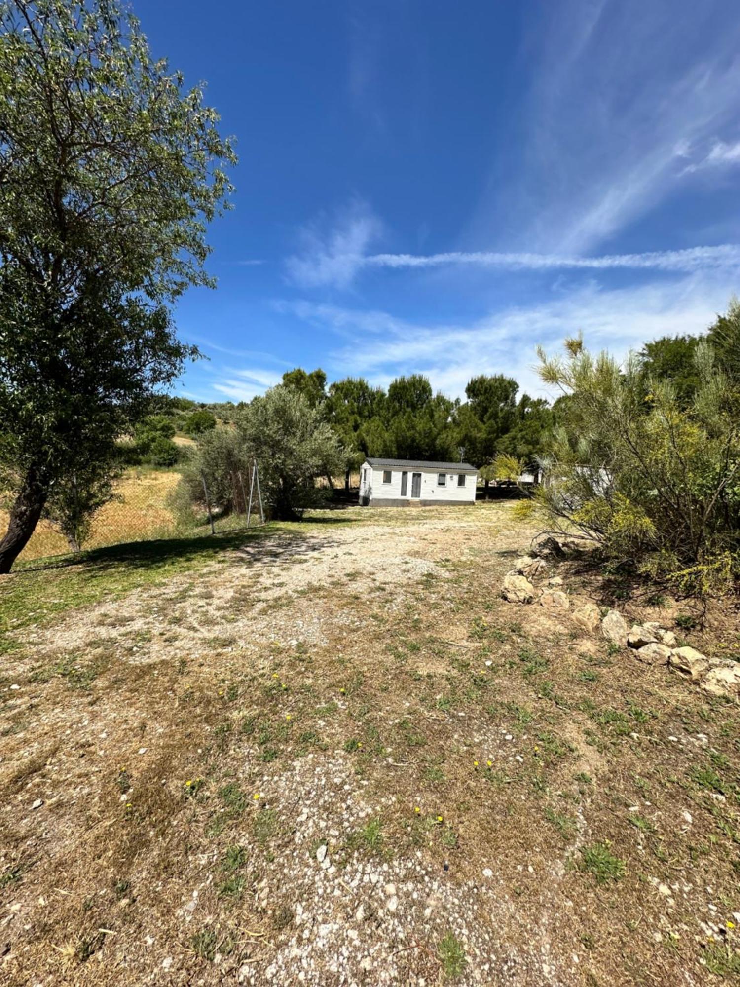 Bungalow Bambolera Torrelaguna Εξωτερικό φωτογραφία