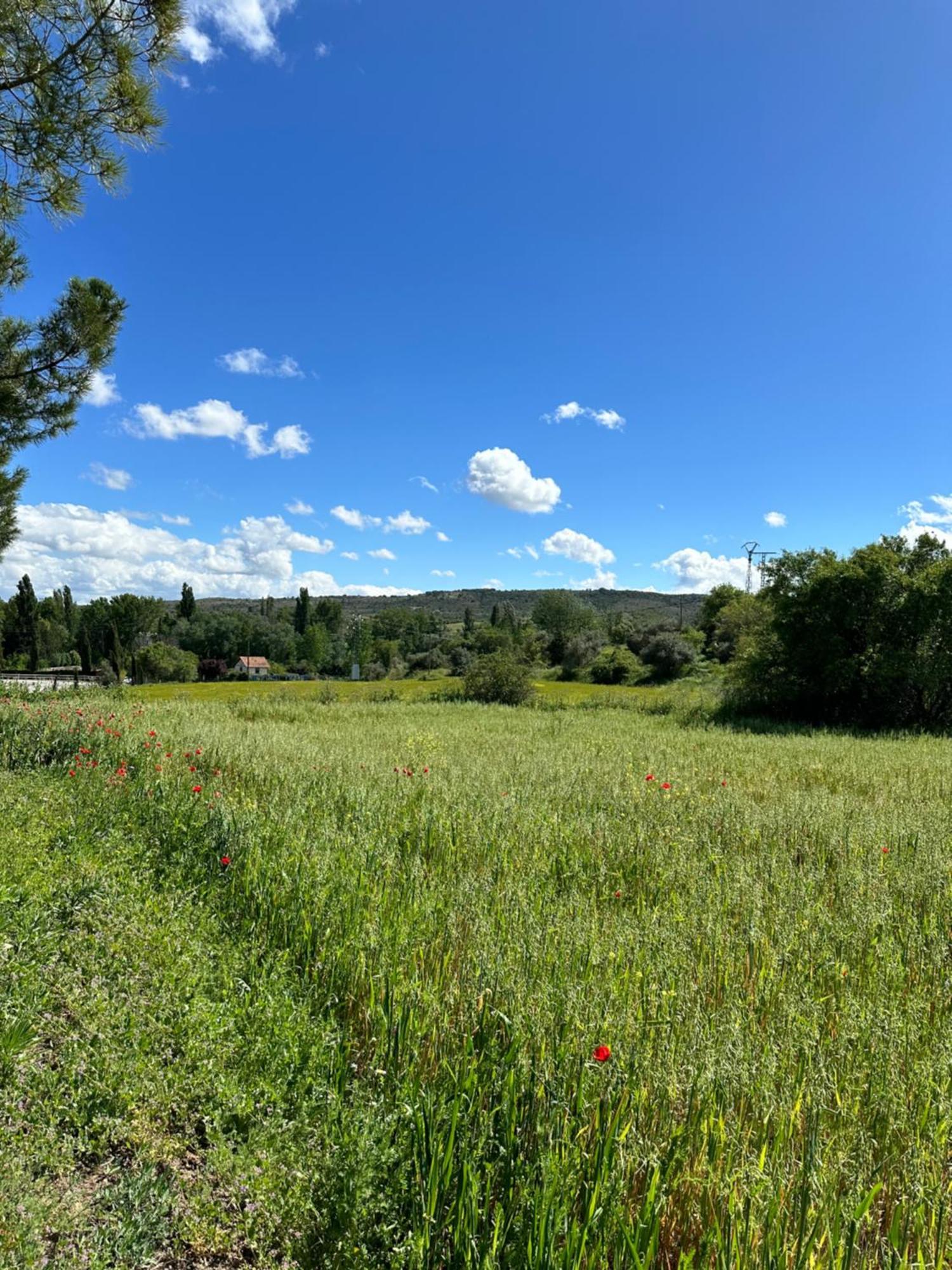 Bungalow Bambolera Torrelaguna Εξωτερικό φωτογραφία